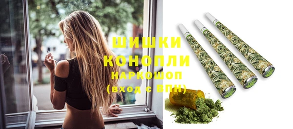 гашик Богородицк