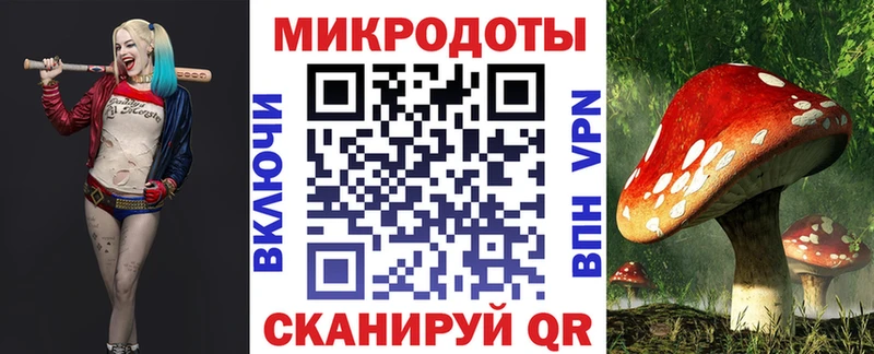 omg   Томари  Галлюциногенные грибы MAGIC MUSHROOMS 